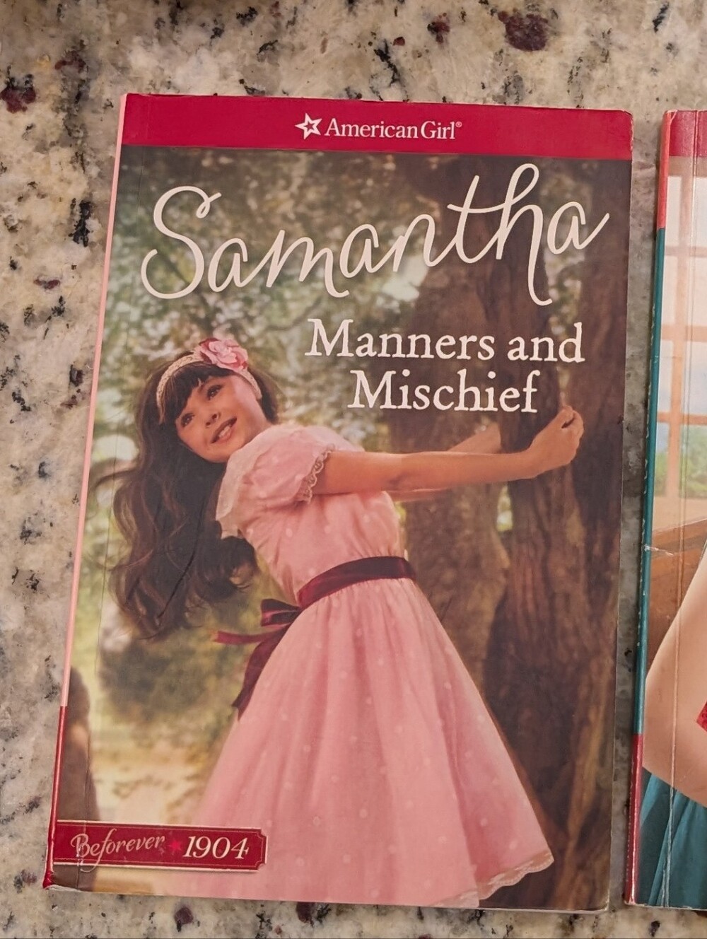 Lot of American Girl books - Picture 8 of 9